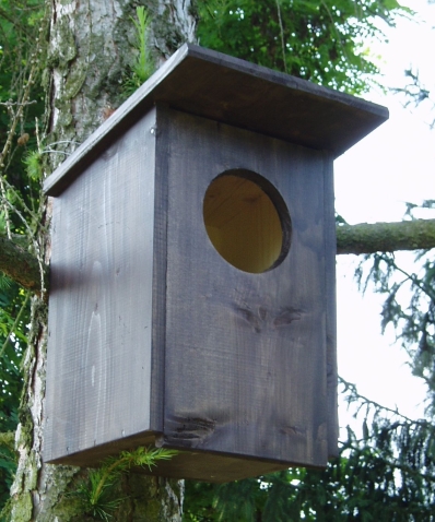 budka_pustik_drevo